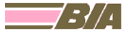 britishislandairways.gif