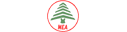 MEA Middle East Airlines (1970s Colors - ver 3)
