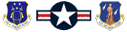 usaf-usairnationalguard-118thas.gif