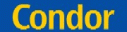 Condor
2006 logo
Keywords: Condor