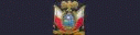 Dubai Air Wing
