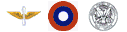 United States Army Air Force (1918-1919)
United States Army, Division of Military Aeronautics (1918-1919)
Keywords: USAAF USAAC USAF