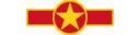 Vietnamese People´s Air Force
