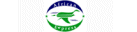 African Express Airways
