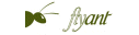 Flyant Cargo
