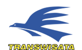 Transwisata Airlines
