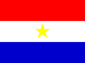 Paraguayan Air Force
fin flag
Keywords: FAP fin flag