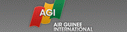 AirGuineeInternational.gif