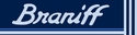 Braniff_Ultra_(Mercury_Blue).jpg