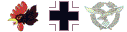 Luftwaffe_WWII_III_JG2.GIF