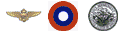 USN_1918-1919.GIF