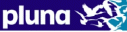pluna_2008.gif
